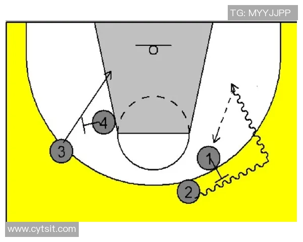 深入分析杭州排球队的包夹战术及其对比赛的影响与应用