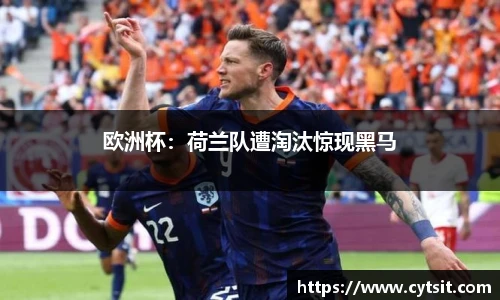 欧洲杯：荷兰队遭淘汰惊现黑马